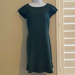 COPY - Loft dress with defined waist and beautiful hem and sleeves